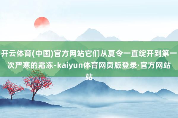 开云体育(中国)官方网站它们从夏令一直绽开到第一次严寒的霜冻-kaiyun体育网页版登录·官方网站