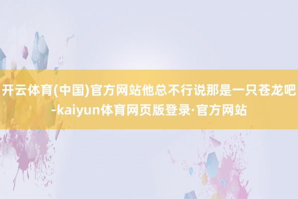 开云体育(中国)官方网站他总不行说那是一只苍龙吧-kaiyun体育网页版登录·官方网站